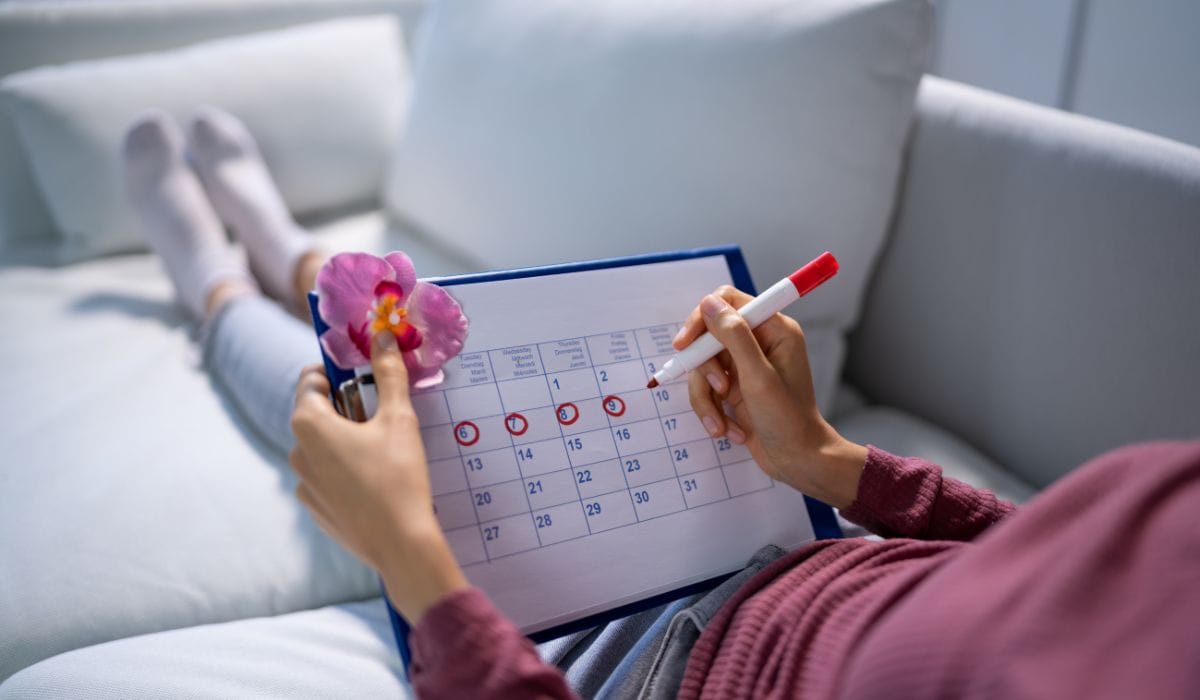 Ciclo Menstrual